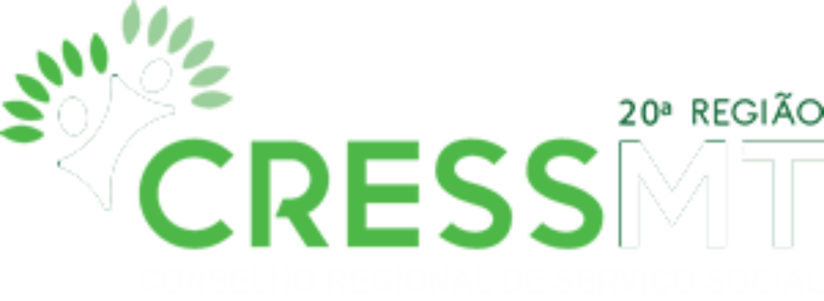 Encontro Nacional CFESS-CRESS indica prioridades de ação para o